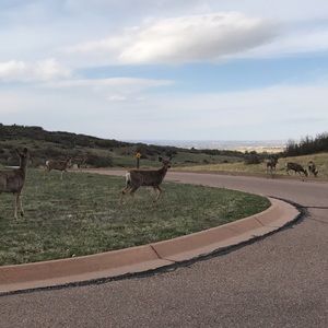 Meet your Posher, Stephen
